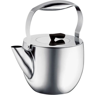 Théière Bodum Columbia brillant - Tea Infuser Théière Bodum Columbia brillant - Tea Infuser