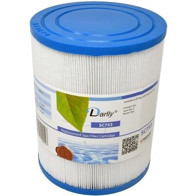 Filtre Spa Darlly - 25 Sq. Ft. Furet à Visser - Filtre à Cartouche - Publicité Filtre Spa Darlly - 25 Sq. Ft. Furet à Visser - Filtre à Cartouche - Publicité