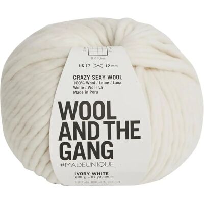 Wool and the Gang Crazy Sexy Wool Ivory White - Yarn Wool and the Gang Crazy Sexy Wool Ivory White - Yarn