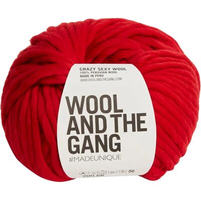 Wool And The Gang Crazy Sexy Wool 200g - Yarn Wool And The Gang Crazy Sexy Wool 200g - Yarn