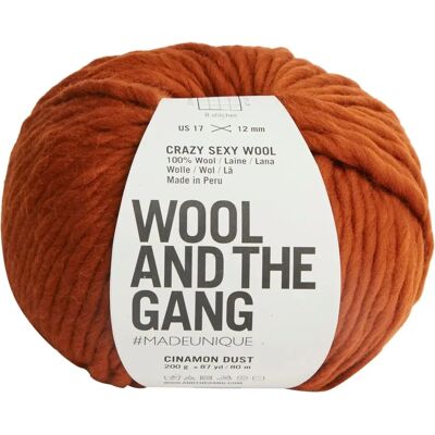 Wool and the Gang Crazy Sexy Wool - Chunky 200g - Winter Accessory Wool and the Gang Crazy Sexy Wool - Chunky 200g - Winter Accessory