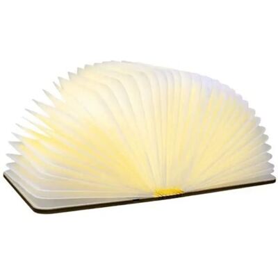 Gingko Mini Lumină de Carte Inteligentă - Lemn, Reîncărcabilă, 360° Gingko Mini Lumină de Carte Inteligentă - Lemn, Reîncărcabilă, 360°