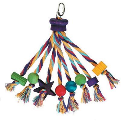 Happy Pet Vogelkooi Speelgoed - Carnival Assorti Happy Pet Vogelkooi Speelgoed - Carnival Assorti