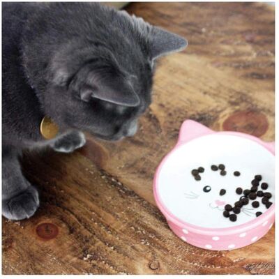 Happy Pet Polka Dot Cat Bowl - Pink and White - Cat Bowl Happy Pet Polka Dot Cat Bowl - Pink and White - Cat Bowl