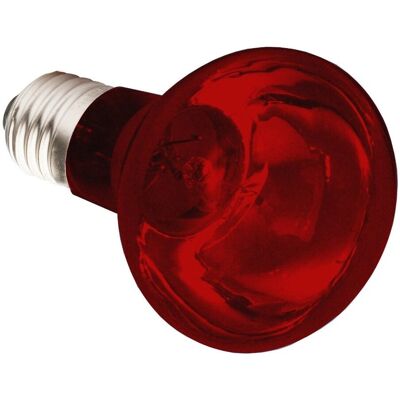 Komodo 75W Infrared Heating Bulb - Reptile Lamp Komodo 75W Infrared Heating Bulb - Reptile Lamp