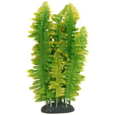 Komodo Boston Varen - 25 cm - Decoratie voor terrarium Komodo Boston Varen - 25 cm - Decoratie voor terrarium