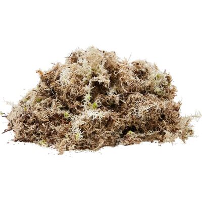 Komodo Reptile Habitat Woodland Moss - 1.5L Reptile Substrate Komodo Reptile Habitat Woodland Moss - 1.5L Reptile Substrate