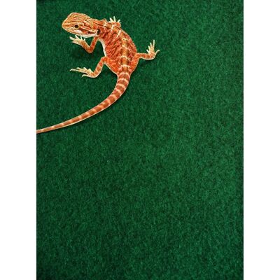 Dywan dla Gekona Komodo - 120cm x 60cm Dywan dla Gekona Komodo - 120cm x 60cm