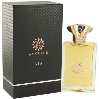 Amouage Dia - Męskie Eau de Parfum 100ml - Zapach dla Mężczyzn Amouage Dia - Męskie Eau de Parfum 100ml - Zapach dla Mężczyzn
