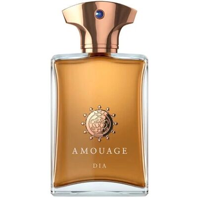 Amouage Dia Man Eau De Parfum - 100ml for menn Amouage Dia Man Eau De Parfum - 100ml for menn