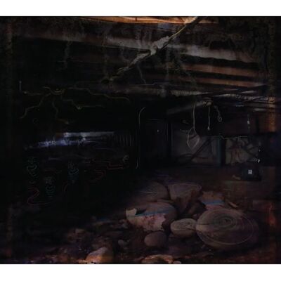 John Medeski Crawlspace - Music album John Medeski Crawlspace - Music album