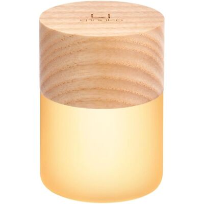Gingko Lemelia Rechargeable Wooden RGB Desk Lamp - Light Gingko Lemelia Rechargeable Wooden RGB Desk Lamp - Light