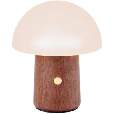 Gingko Walnut Alice Mushroom RGB Desk Lamp - Product Type Gingko Walnut Alice Mushroom RGB Desk Lamp - Product Type