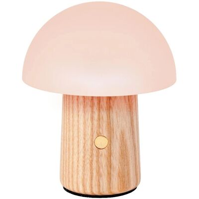 Gingko White Ash Alice Mushroom RBG Desk Lamp - Indoor Gingko White Ash Alice Mushroom RBG Desk Lamp - Indoor