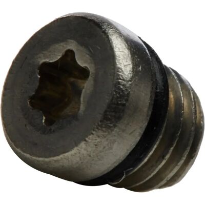 Avid Brake Spare Parts - Stainless Steel Bleed Screw & O-Ring - 20 Pieces Avid Brake Spare Parts - Stainless Steel Bleed Screw & O-Ring - 20 Pieces