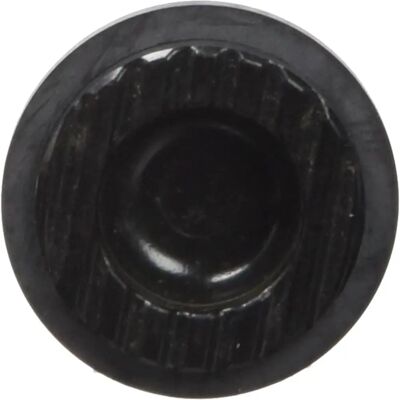 Kit de Pistões de Freio Sram - Freio de Disco Hidráulico - 2 x 21mm - Cinza Kit de Pistões de Freio Sram - Freio de Disco Hidráulico - 2 x 21mm - Cinza
