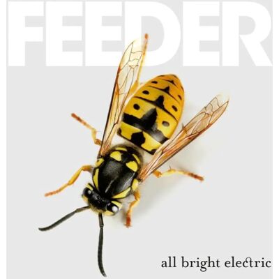 Feeder - All Bright Electric 2016 - Płyta muzyczna Feeder - All Bright Electric 2016 - Płyta muzyczna