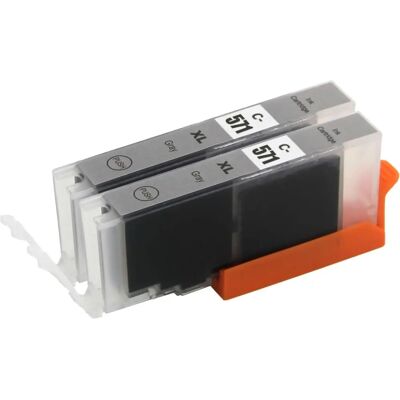 Cartouche d'encre Grise Go Inks pour Canon Pixma - Pack de 2 - Publicité Cartouche d'encre Grise Go Inks pour Canon Pixma - Pack de 2 - Publicité