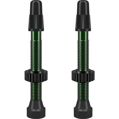 Valvola Presta WTB TCS AL 46mm Verde - Ricambi Pneumatici Valvola Presta WTB TCS AL 46mm Verde - Ricambi Pneumatici