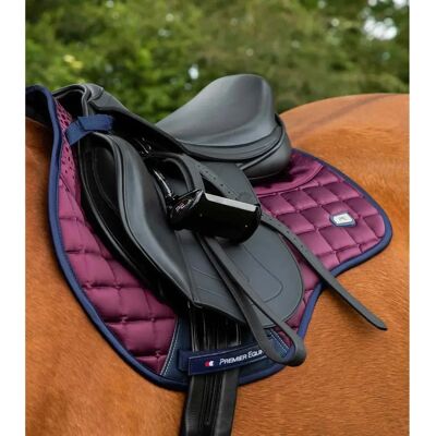 PREMIER EQUINE Reithalfterdecke - Hochschnitt, Gelsilikon, Luxus Satin PREMIER EQUINE Reithalfterdecke - Hochschnitt, Gelsilikon, Luxus Satin