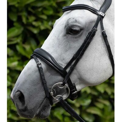 PREMIER EQUINE Paar Pfosten mit Trense PREMIER EQUINE Paar Pfosten mit Trense