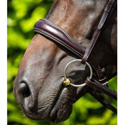 Premier Equine Verdura Cavesson - Anatomisches Reithalfter - Braun Premier Equine Verdura Cavesson - Anatomisches Reithalfter - Braun
