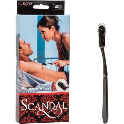 CalExotics Roue de Plaisir de Wartenberg - Jouet BDSM CalExotics Roue de Plaisir de Wartenberg - Jouet BDSM