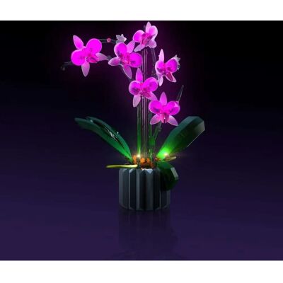 Light My Bricks LMB 2.0 LED Licht Set für LEGO 10311 Orchidee Light My Bricks LMB 2.0 LED Licht Set für LEGO 10311 Orchidee