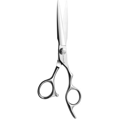 JP Create mege AOLANDUO ciseaux professionnels pour cheveux - Acier 440C, 6 pouces - Publicité JP Create mege AOLANDUO ciseaux professionnels pour cheveux - Acier 440C, 6 pouces - Publicité