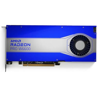 AMD Radeon Pro W6600 AMD Radeon Pro W6600