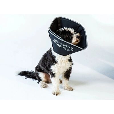 Collare di Recupero All Four Paws - Nero - M Collare di Recupero All Four Paws - Nero - M