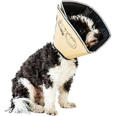 All Four Paws Collier XL 30cm - Collar - Publicité All Four Paws Collier XL 30cm - Collar - Publicité