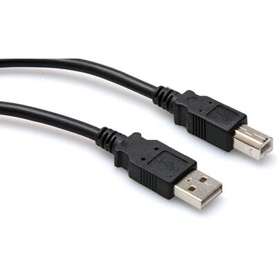 Hosa Technology Câble USB haute vitesse Type A à Type B - 10 pieds - Noir - Publicité Hosa Technology Câble USB haute vitesse Type A à Type B - 10 pieds - Noir - Publicité