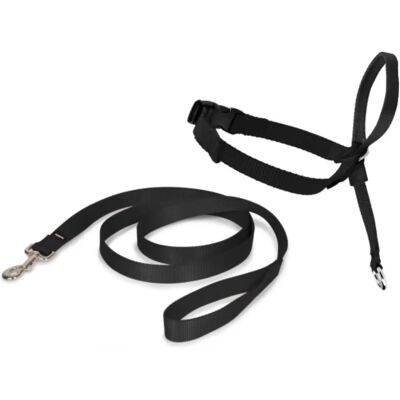 PetSafe Easy Walk Headcollar - Hundegeschirr und Trainingshilfe PetSafe Easy Walk Headcollar - Hundegeschirr und Trainingshilfe