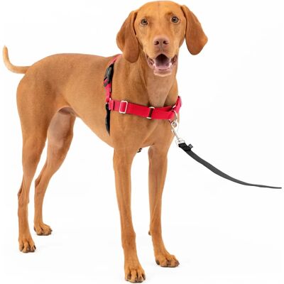 PetSafe Easy Walk Harness & Leash - Red - Medium Dog PetSafe Easy Walk Harness & Leash - Red - Medium Dog