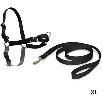 PetSafe Easy Walk Harness & Lead - XL Dog Anti-Trauma PetSafe Easy Walk Harness & Lead - XL Dog Anti-Trauma