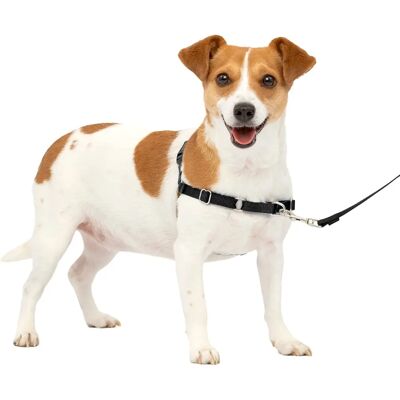 Giletta Easy Walk Nero S - Accessorio Passeggiata Giletta Easy Walk Nero S - Accessorio Passeggiata