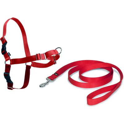 Nayeco Rotes Anti-Zug Geschirr - S Nayeco Rotes Anti-Zug Geschirr - S