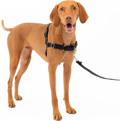 Imbracatura Easy Walk PetSafe Taglia M - Regolabile, Leggera, Addestramento Imbracatura Easy Walk PetSafe Taglia M - Regolabile, Leggera, Addestramento