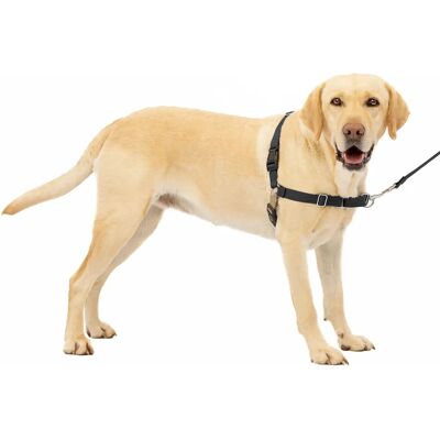 PetSafe Easy Walk Hundegeschirr - Schwarz - Groß - Trainingszubehör PetSafe Easy Walk Hundegeschirr - Schwarz - Groß - Trainingszubehör
