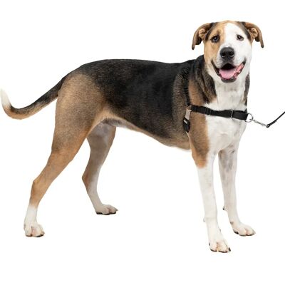 Easy Walk XL Geschirr - Hundetraining Geschirr Easy Walk XL Geschirr - Hundetraining Geschirr