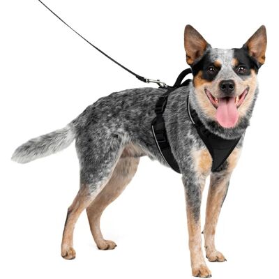 PetSafe EasySport Harnas - Controle, Gevoerd - Kleine-Middelgrote Honden PetSafe EasySport Harnas - Controle, Gevoerd - Kleine-Middelgrote Honden