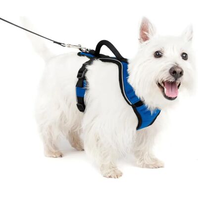 PetSafe Imbracatura regolabile per cane blu - EasySport - Imbracatura per cani PetSafe Imbracatura regolabile per cane blu - EasySport - Imbracatura per cani