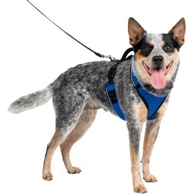 PetSafe Hondenharnas EasySport - Blauw / M - Hondentuigje PetSafe Hondenharnas EasySport - Blauw / M - Hondentuigje