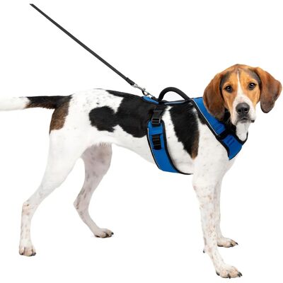 Imbracatura PetSafe EasySport per Cane - Blu - L Imbracatura PetSafe EasySport per Cane - Blu - L
