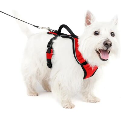 PETSAFE Easy Sport hám - S, Piros - Kutya hám PETSAFE Easy Sport hám - S, Piros - Kutya hám