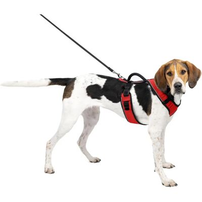 PetSafe EasySport Gazdi - Állítható Irányítás Párnázott Nagy Kutya Piros PetSafe EasySport Gazdi - Állítható Irányítás Párnázott Nagy Kutya Piros