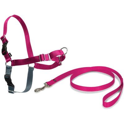 PetSafe Harnais Easy Walk - Rose - Anti-Traction - M - Publicité PetSafe Harnais Easy Walk - Rose - Anti-Traction - M - Publicité