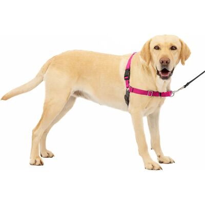 Harnais EasyWalk PetSafe - Chiens Petit/Moyen/Grand - Rose - Publicité Harnais EasyWalk PetSafe - Chiens Petit/Moyen/Grand - Rose - Publicité