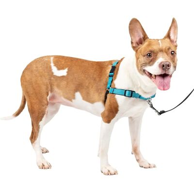 EASYWALK Reflektor Hundegeschirr - M - Blau - Nylon - 53-69cm - Haustier EASYWALK Reflektor Hundegeschirr - M - Blau - Nylon - 53-69cm - Haustier